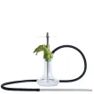 2x2 Hookah - Dragon Born (Gold & Green)