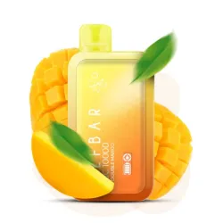 Disposable Pod Elf ​​Bar BC 10000 Puffs - Double Mango