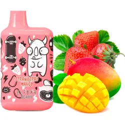 Disposable Pod Elf ​​Bar BC 4000 Puffs (LE) - Strawberry Mango