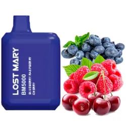 Disposable Pod Lost Mary BM 5000 Puffs - Blueberry Raspberry Cherry