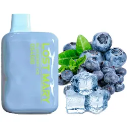 Disposable Pod Lost Mary OS 4000 Puffs - Blueberry Ice