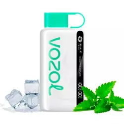 Disposable Pod Vozol Star 12000 Puffs - Cool Mint