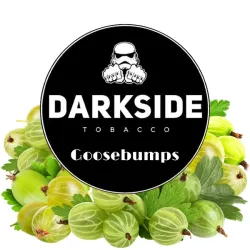 DarkSide Hookah Tobacco - Goosebumps 200 gr