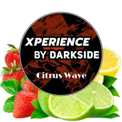DarkSide Xperience Hookah Tobacco - Citrus Wave 200 gr
