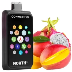 Disposable Pods North Connect Pro 40000 Puffs - Mango Dragon Fruit (5%)