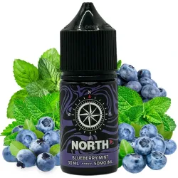 E-Liquid NORTH Salt Nic 5% - Blueberry Mint 30 ml