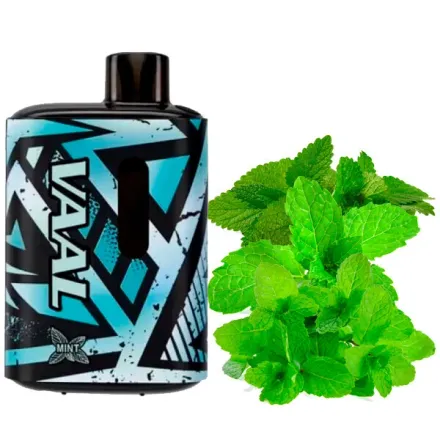 Disposable Pod VAAL E5000 Puffs - Mint