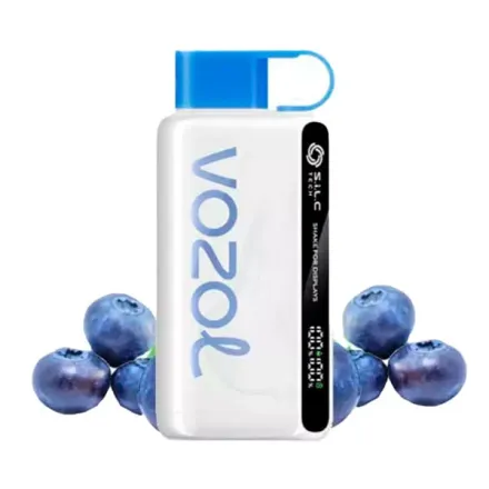 Disposable Pod Vozol Star 12000 Puffs - Blueberry Storm