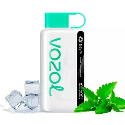 Disposable Pod Vozol Star 12000 Puffs - Cool Mint