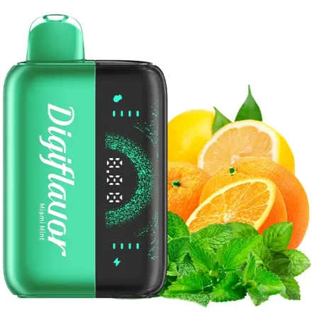 Disposable Kit Digi Flavor BRK 20000 Puffs - Miami Mint (5%)