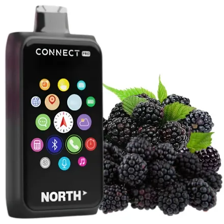 Disposable Pods North Connect Pro 40000 Puffs - Blackberry Fab (5%)