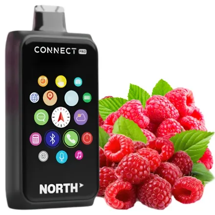 Disposable Pods North Connect Pro 40000 Puffs - Raspberry Rizz (5%)