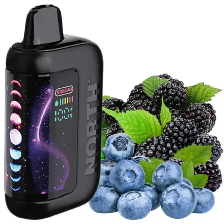Disposable Pods North Stellar Dark Moon Edition 40000 Puffs - Blackberry Blueberry (5%)