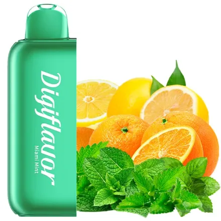 Disposable Refil Pod Digi Flavor BRK 20000 Puffs - Miami Mint (5%)