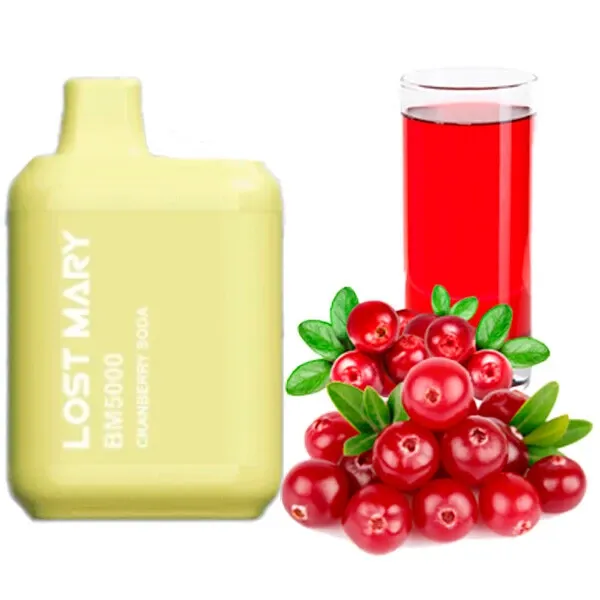 Disposable Pod Lost Mary BM 5000 Puffs - Cranberry Soda