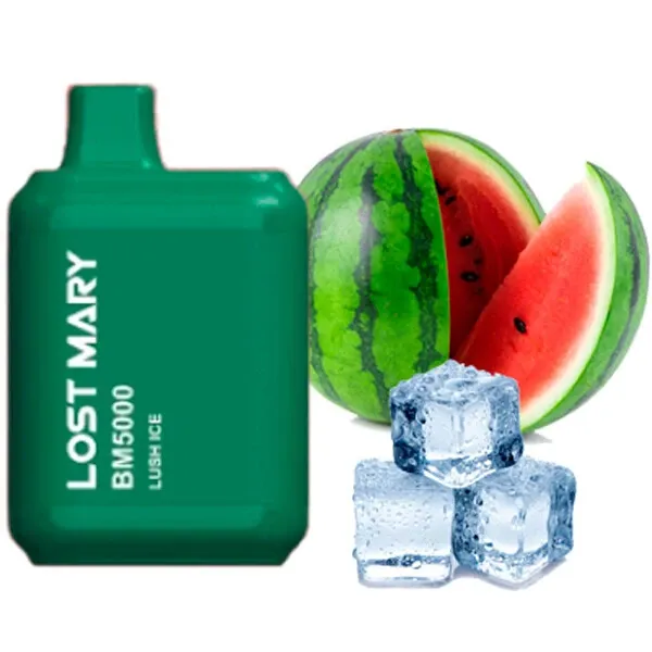 Disposable Pod Lost Mary BM 5000 Puffs - Lush Ice