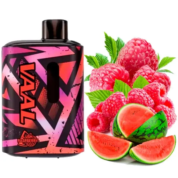 Disposable Pod VAAL E5000 Puffs - Lush Raspberry