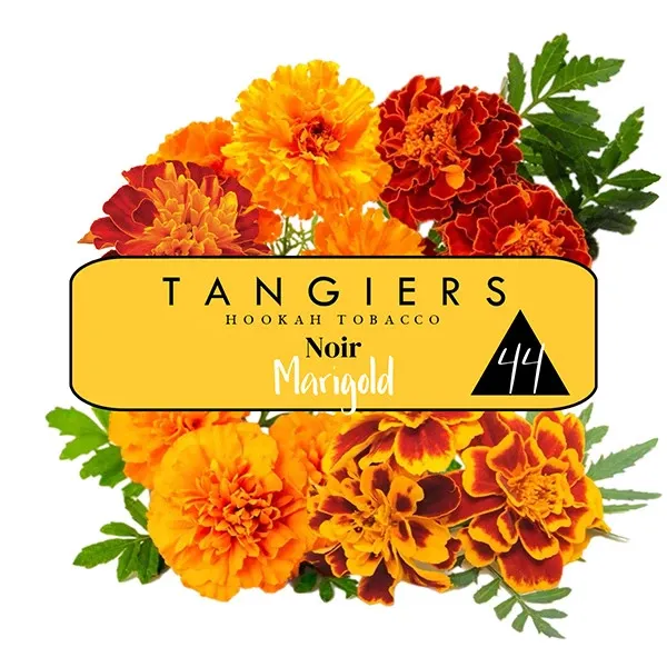 Tangiers Noir 44 - Marigold 100 gr
