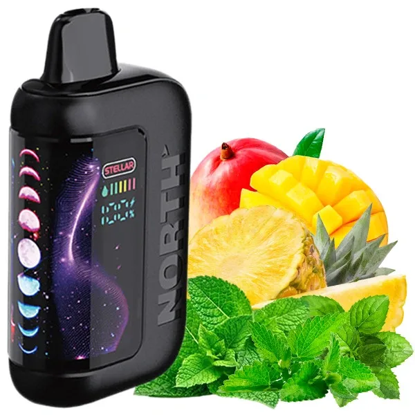 Disposable Pods North Stellar Dark Moon Edition 40000 Puffs - Miami Mint (5%)