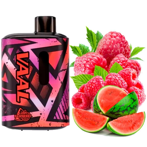 Disposable Pod VAAL E5000 Puffs - Lush Raspberry