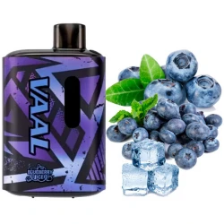 Disposable Pod VAAL E5000 Puffs - Blueberry Ice