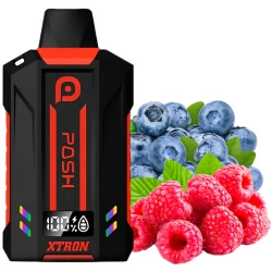 Disposable Pod Posh Xtron 10000 Puffs - Blueberry Raspberry (5%)