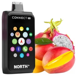 Disposable Pods North Connect Pro 40000 Puffs - Mango Dragon Fruit (5%)